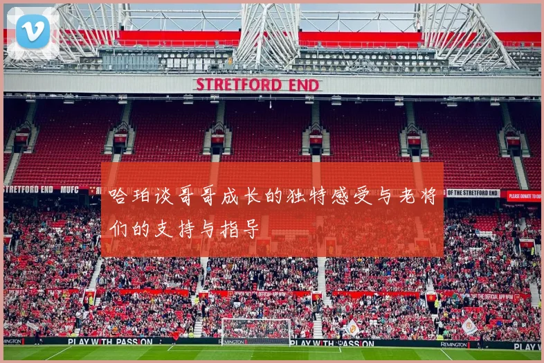 哈珀谈哥哥成长的独特感受与老将们的支持与指导